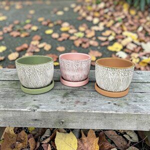 Set of 3 Terracotta Garden Succulent Planting Pots